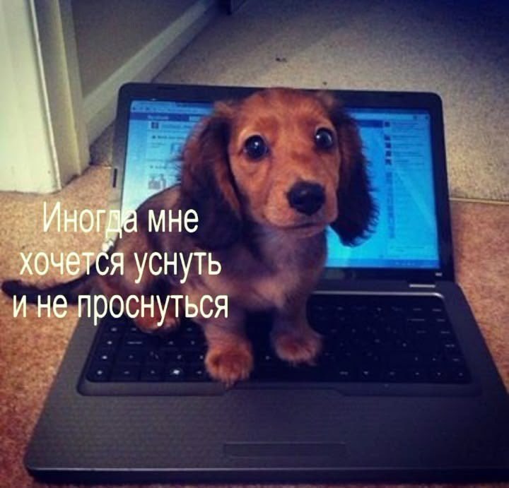zwkpty's tweet photo. https://t.co/W2VmQDBBRg
