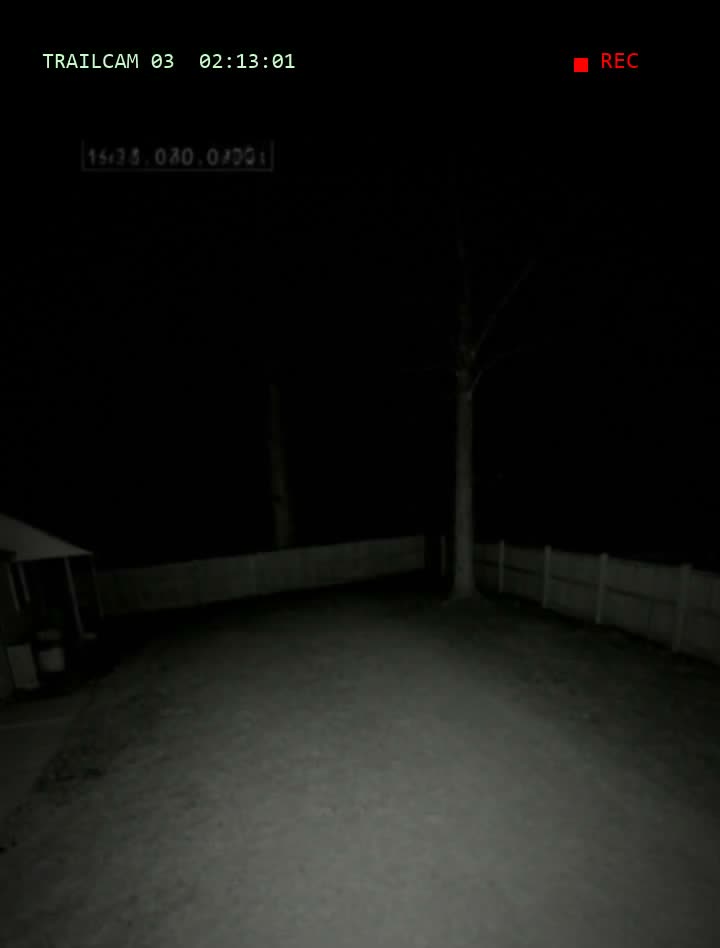 The3AMFile's tweet photo. @literaturebells The subtle ones are always worse. Nothing jumps, it just feels wrong for ninety seconds. Our backyard trail cam is like that. Most nights it is only the fence and one tree, and around 3 AM the tree has a second shadow that does not match the light. https://t.co/bTp1KPKWJe