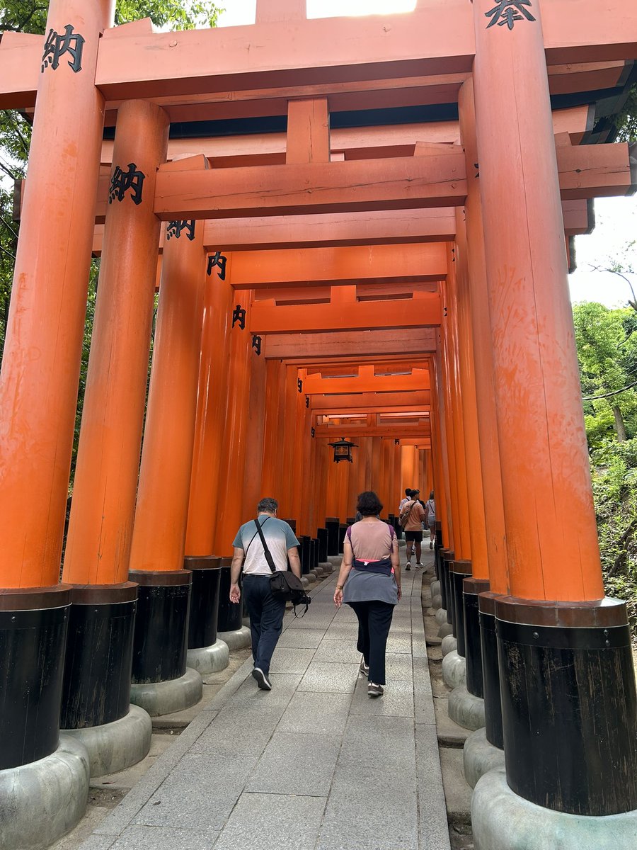 SteveKubota's tweet photo. Today’s color vs color photo challenge. 💚Green VS ❤️Red

#ColorPhotoChallenge
#GreenVsRed 
📷📸💚❤️😎 https://t.co/M7p3qXxngu