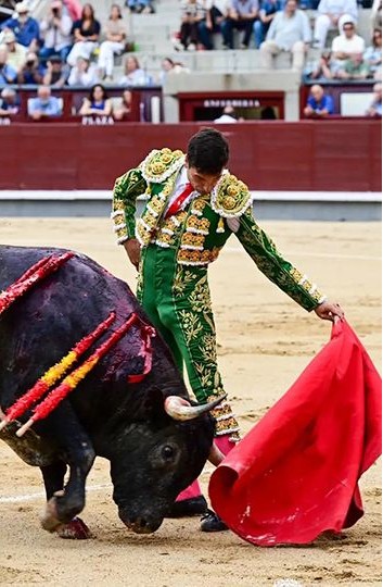 SegundoAvisoTV's tweet photo. José Carlos Venegas corta una oreja a uno de Saltillo en @LasVentas.

Nuestra más sincera felicitación al torero de Beas de Segura y amigo de esta casa @infovenegas. https://t.co/nYCarPUzCS
