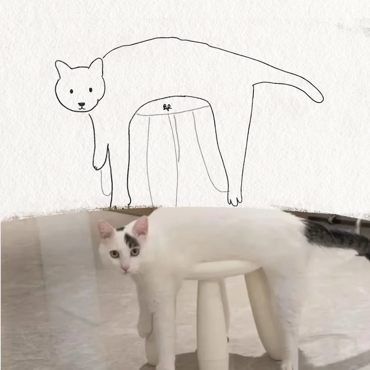 twaniimals's tweet photo. https://t.co/dXpzjemvyg