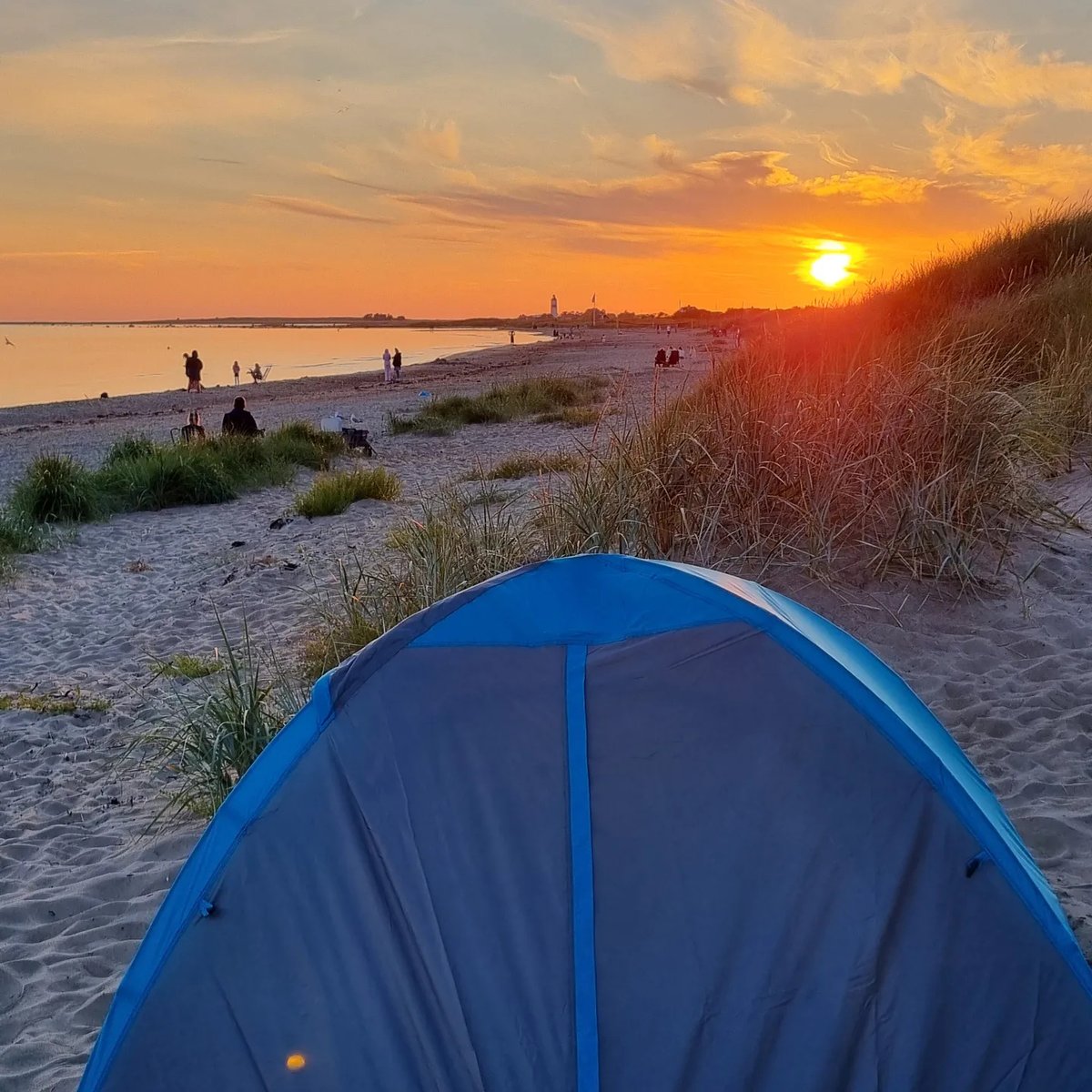 33683341's tweet photo. Noc na plaży. natt på stranden https://t.co/EK4qYwFHpB