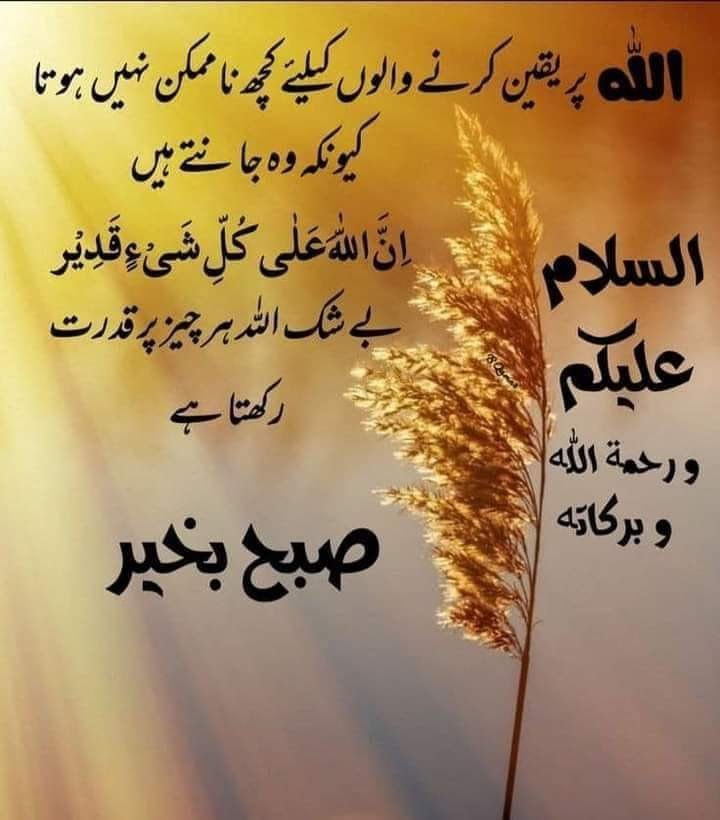 Arooba707's tweet photo. `اے میرے رب !💞💞`

 *مجھے اپنی رضا میں راضی کردے، مجھے اپنا قرب عطا فرما، مجھے اطمینان قلب عطا فرما ! میرے دل سے دنیا کی حوس نکال دے مجھے اپنے پاکیزہ بندوں میں شامل کرلے آمین ثم آمین یارب العالمین:)* https://t.co/5MnnU6kgrP