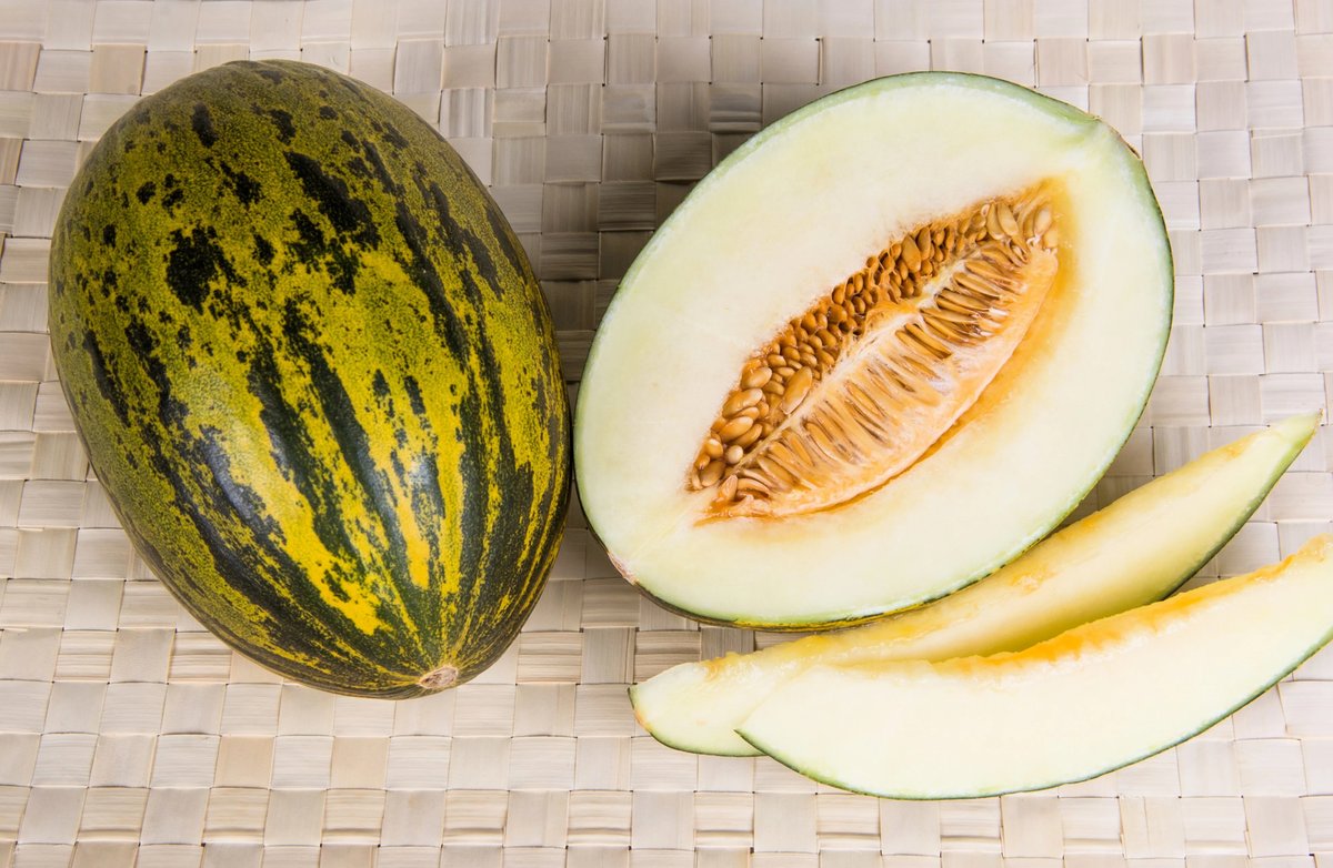 NutrientFarm's tweet photo. Organic Piel de Sapo Melon now available.  https://t.co/aPqloqJ8WO https://t.co/UPd4ru5OGR