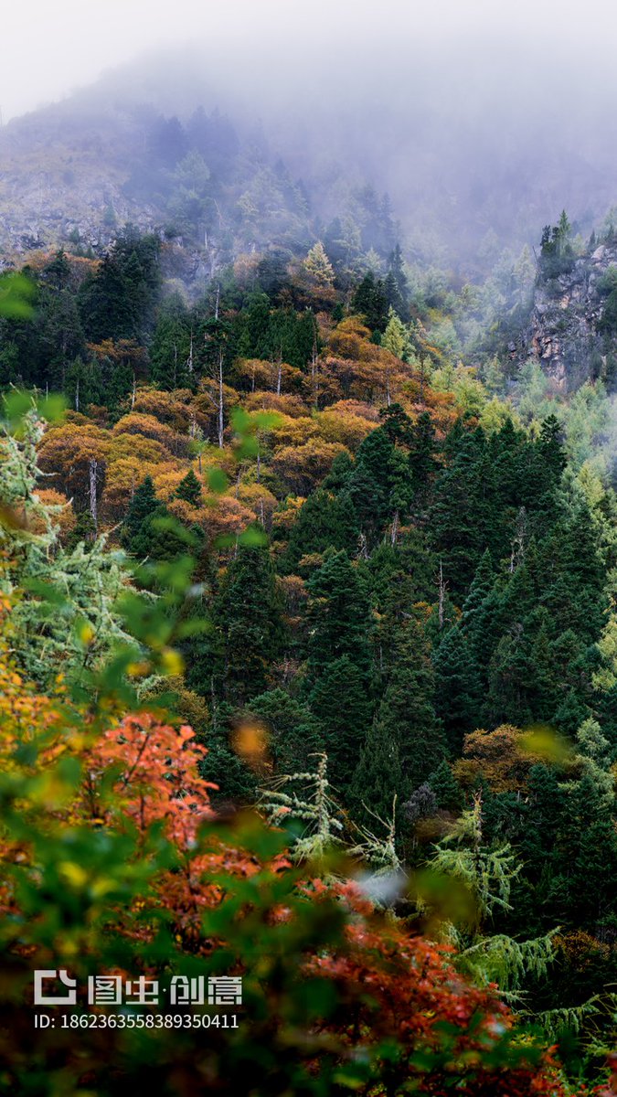 minseokmandoo's tweet photo. [Among the misty firs, satin drapes the quiet mountain nook.] https://t.co/KqQvgbfQVQ