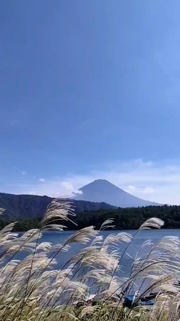 wander_cloud's tweet photo. 西湖 根場浜
#mtfuji
#fujisan
#mysky
#abovemeonlysky
#everydayisawindingroad
#ontheroadagain
#tankensurujapan
#localguides https://t.co/JorXNunTpe