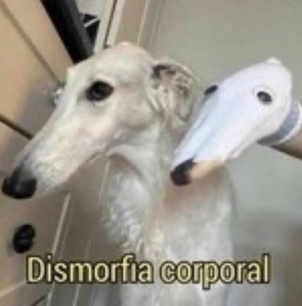 alurcarda's tweet photo. pqp tirei umas fotos que fiquei tão bonita que não vai dar pra usar em NADA pois estou irreconhecível https://t.co/XluyUTgmyd