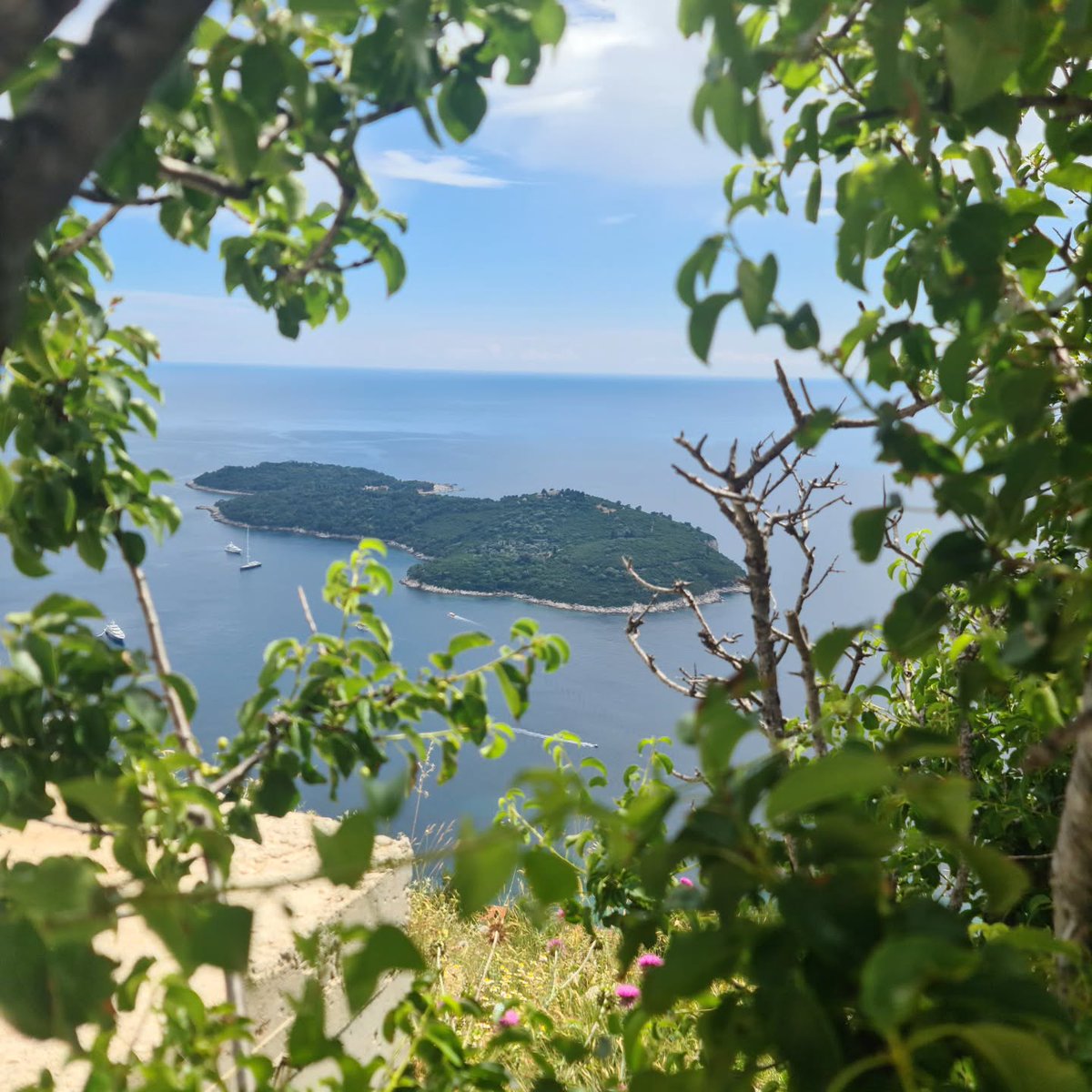 thayssilva46's tweet photo. Sights around Dubrovnik, Croatia... #Dubrovnik
#CroatiaTravel
#AdriaticSea
#TravelEurope
#Wanderlust https://t.co/dQFpeRbt8D