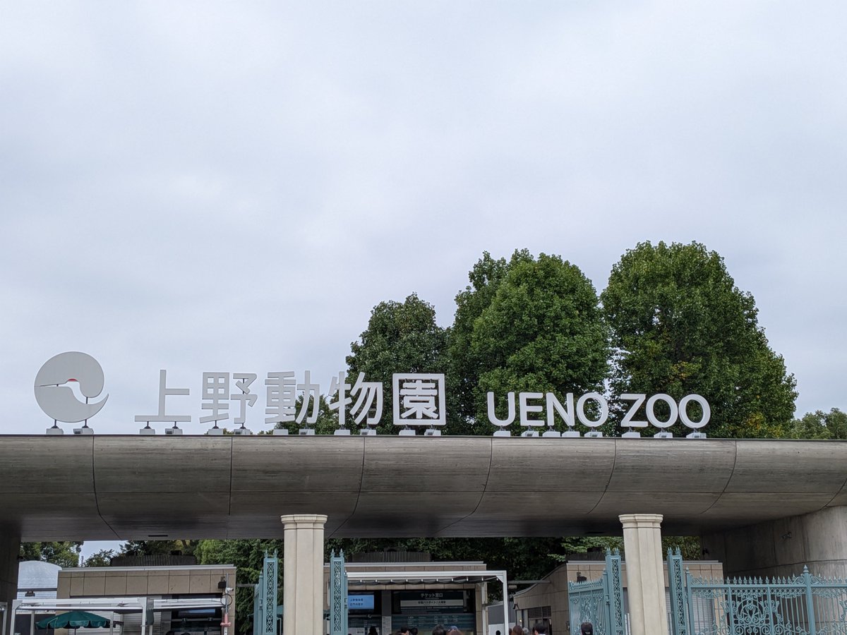 occkey_9106's tweet photo. 昨日は上野動物園デートは本当に癒された🥰
ありがとうの一言しかない🙇
#上野動物園 https://t.co/RMxNaEocHM