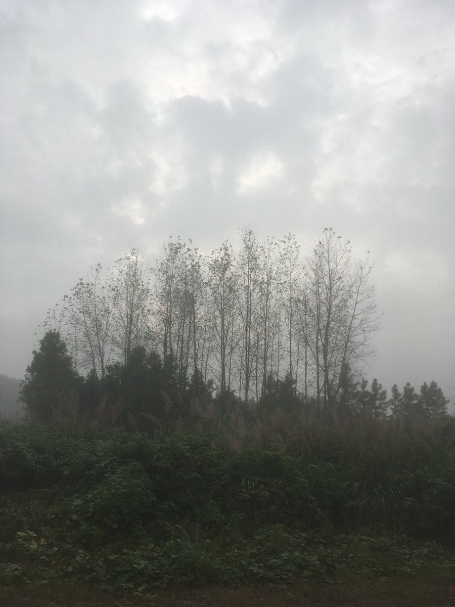 CollenSterger's tweet photo. Today’s autumn equinox sun has painted every fallen leaf gold  Let’s savor this cozy seasonal vibe together! https://t.co/8QMvargkXl