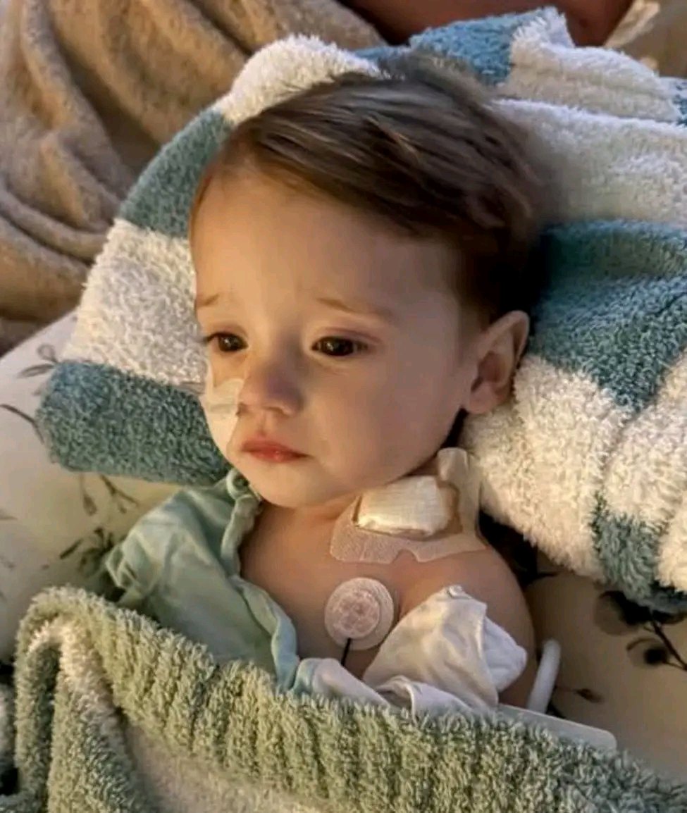 AdaugoAguiyi's tweet photo. 🙏 PLEASE JOIN US IN PRAYING FOR LITTLE LIAM. 💔

At just 23 months old, little Liam Box   j has already been through more than most adults could imagine.

Liam was diagnosed with neuroblastoma when he was only 16 months old. Since then, he has endured surgêriës, çhemótheråpy, rad!ation, and even the use of ventilators as doctors have f⁰ught to keep him alive.

This little boy has been f1ght!ng for his l1fe for months, and now his family needs prayers more than ever. 🙏❤️

Please take a moment to pray for Liam today.

Pray for healing, strength, comfort, and renewed hope for this precious child. And please keep his family in your prayers as they continue walking through this incredibly d1fficu|t journey.

May God watch over little Liam and give him the strength to keep f!ght!ng. 🙏💙

Source: Erimita de la Divina pastora