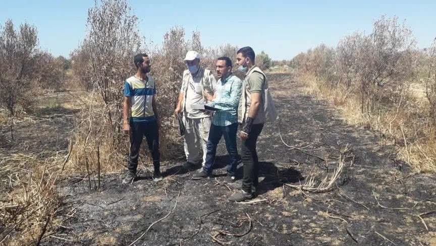 palimarorg's tweet photo. نحو 87.6% من الأراضي الزراعية في قطاع غزة تضررت بشكل كامل 
لم تقتصر آثار الحرب ��لى البيوت والمرافق والمنشآت، بل امتدت إلى الأرض التي كانت مصدر رزق وغذاء وأمل لآلاف الأسر في قطاع غزة.
#من_الركام_نبني_الأمل

https://t.co/2FMlwxwxvy https://t.co/Fb3BeroBcH