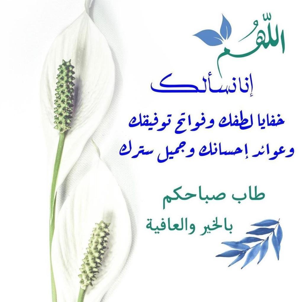 shmoghmohamed's tweet photo. https://t.co/aX743semGs