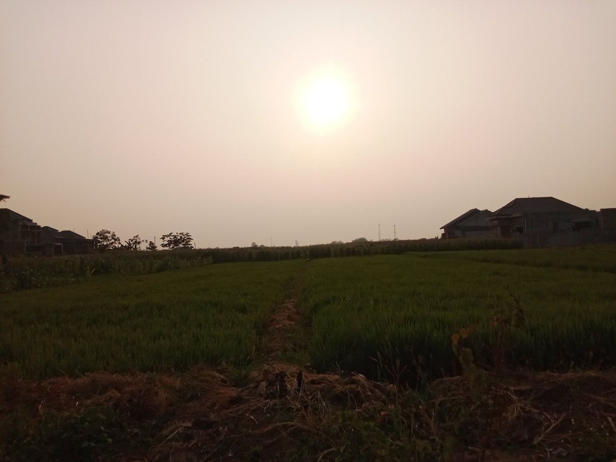 dhtz's tweet photo. Ngopi dulz dah,,,
#yongs 🤘 https://t.co/3gKQhBySvu