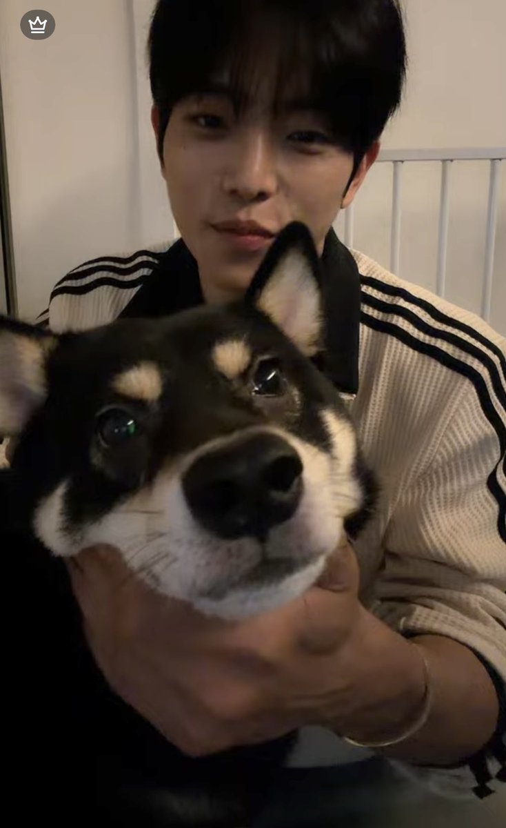 kirimozz2_'s tweet photo. #준용 
준구가 너무 귀여운데 
준용이 너무 귀여운데 https://t.co/R7VObZCosH