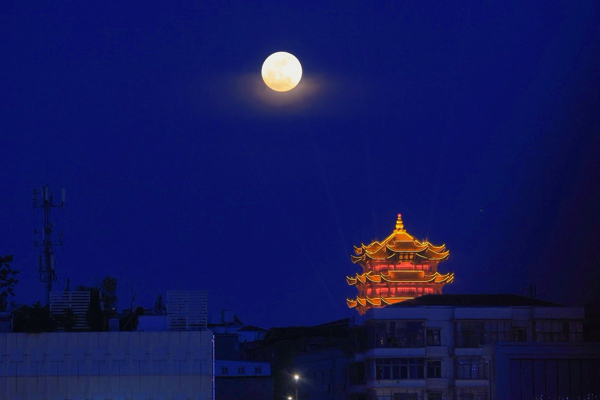 KendraCheclfo's tweet photo. [The lanterns glow bright, the moon hangs high—happy Mid-Autumn Festival to all! May your days be as sweet as the mooncakes you share.] https://t.co/DChoWfTSli
