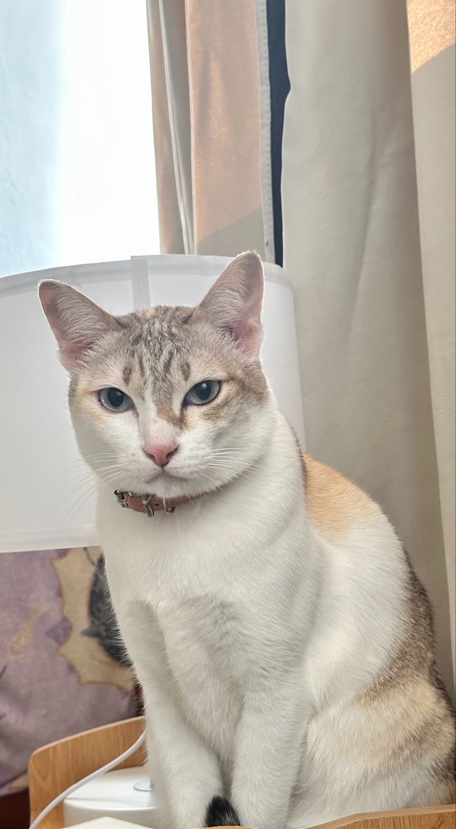 Weiweii007x's tweet photo. แล้วก็นั่งจ้องหน้านุดอยู่แบบนี้นานมากก  🥹🥹 https://t.co/4XW6Zlitf3
