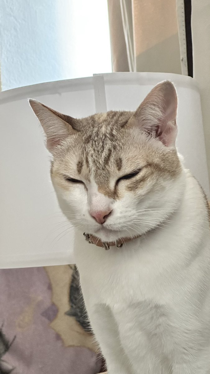 Weiweii007x's tweet photo. แล้วก็นั่งจ้องหน้านุดอยู่แบบนี้นานมากก  🥹🥹 https://t.co/4XW6Zlitf3