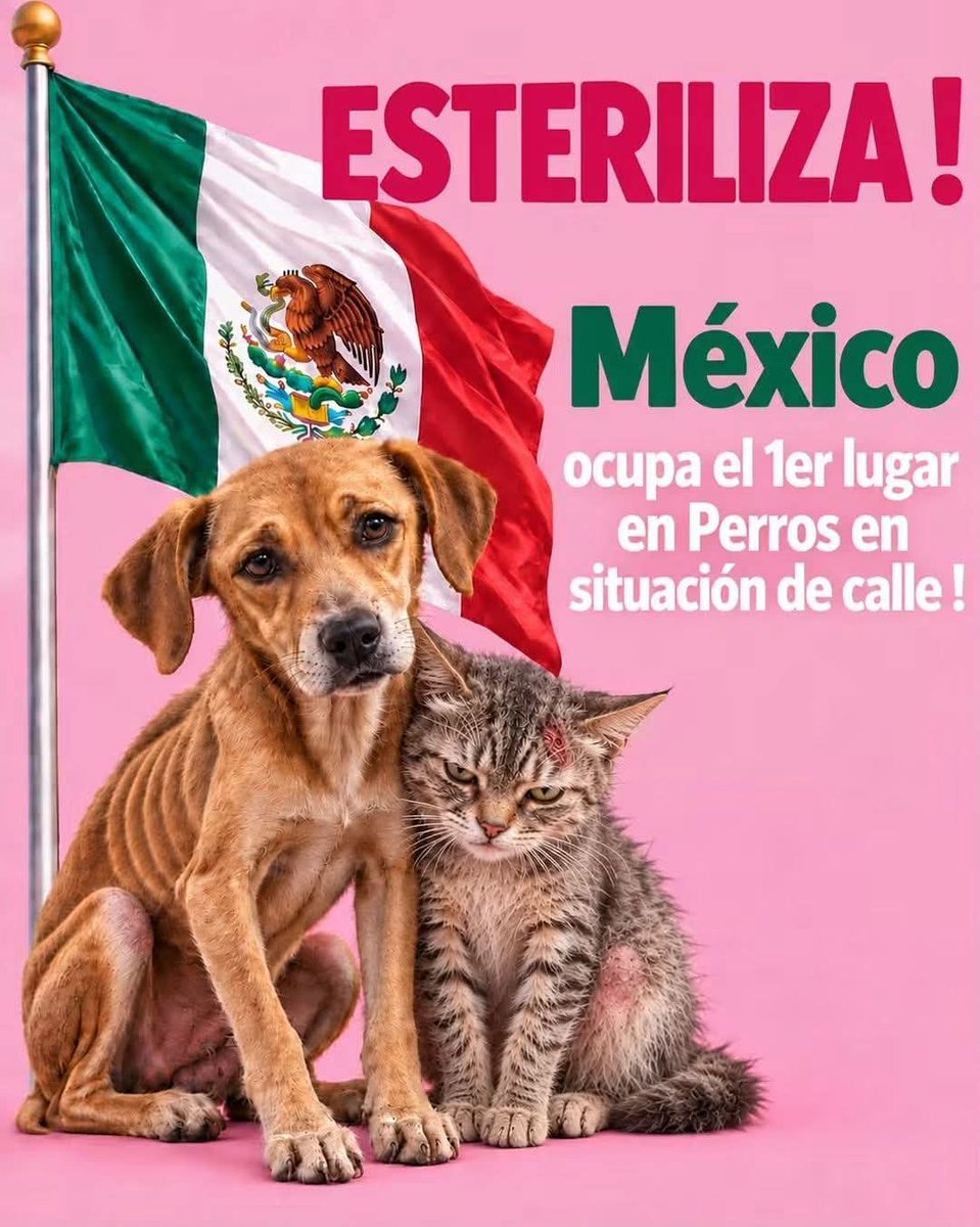 Sabueson's tweet photo. Nos comparten y compartimos https://t.co/SnkQJ0Ky9O