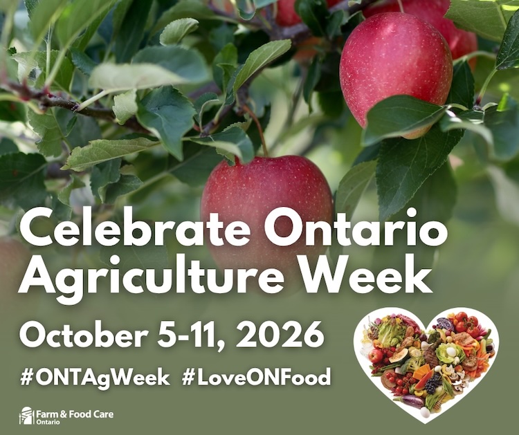 growernews's tweet photo. Celebrate Ontario Agriculture Week October 5-11. Recognize the contributions of local farmers and food producers. #ONTAgWeek #LoveONFood.
https://t.co/mmdIfMTibg https://t.co/RQ6lFQVr7b