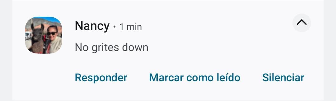 Lautaro_nuno's tweet photo. 4:30 de la mañana https://t.co/Lpo3u5rPaQ