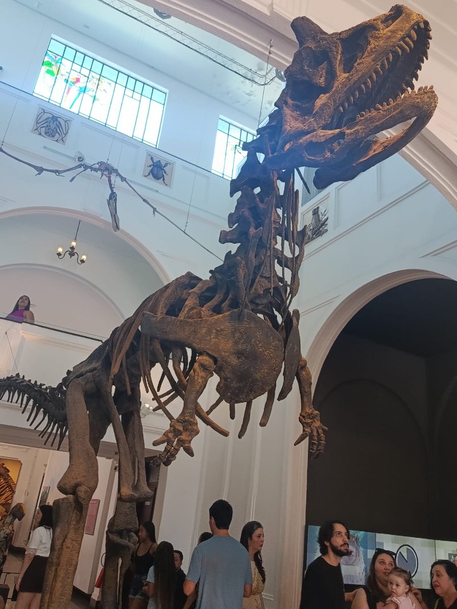 darkyco44764's tweet photo. Dia de alimentar meu vício de dinos kkkk https://t.co/TvsL0Mj77J