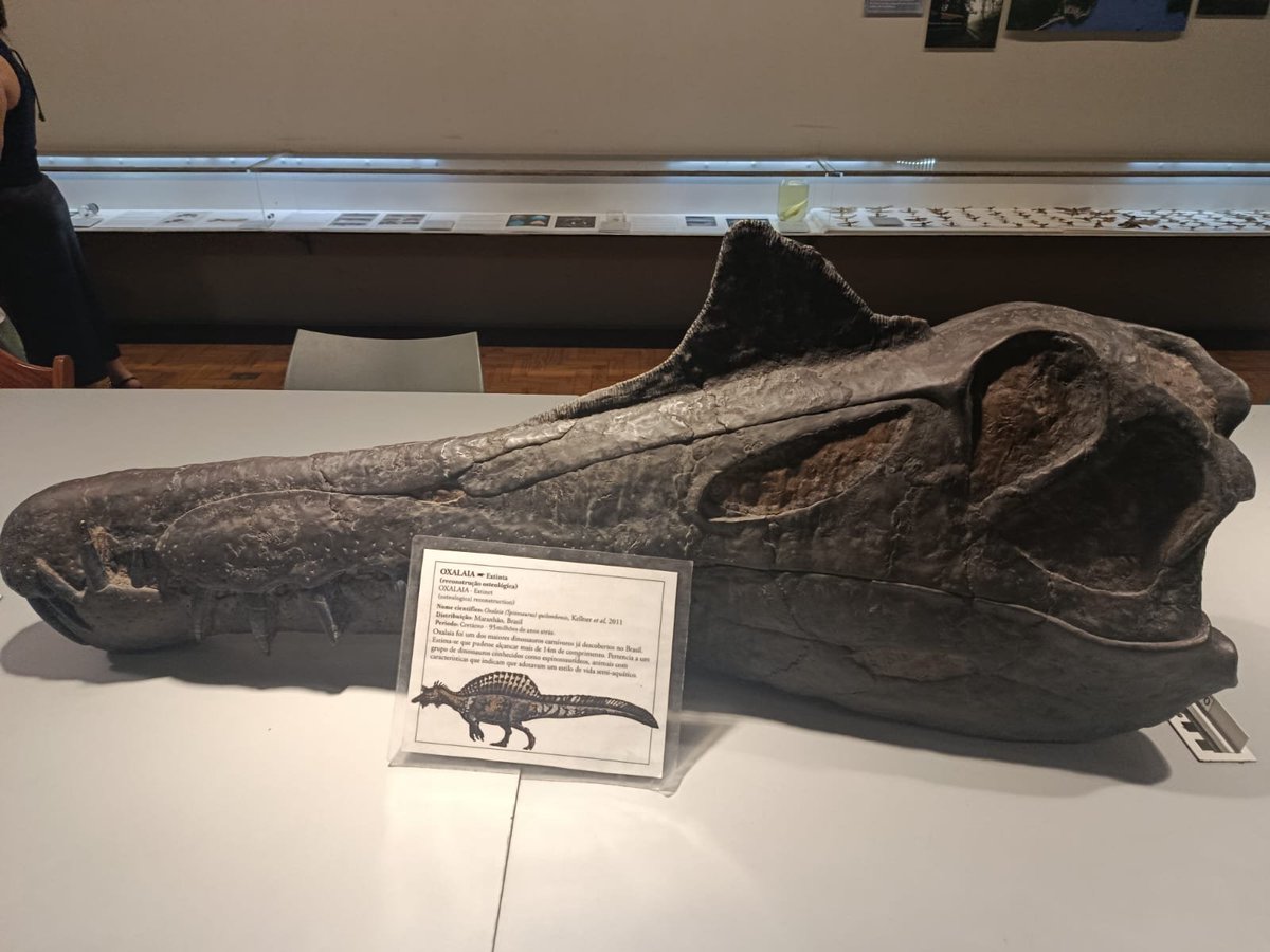 darkyco44764's tweet photo. Dia de alimentar meu vício de dinos kkkk https://t.co/TvsL0Mj77J