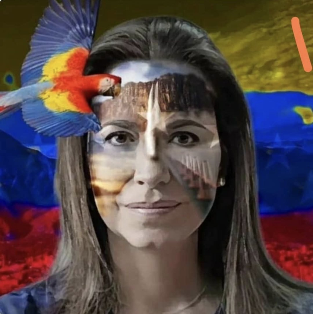 ElvisVilchez's tweet photo. @MariaCorinaYA Eres Venezuela! https://t.co/AH0INOBxgG