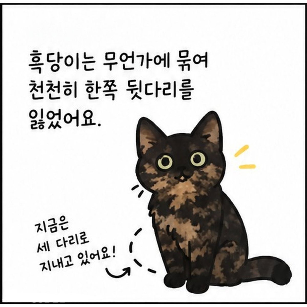 dang_nyangee's tweet photo. 세 발냥 흑당이의 가족을 찾아요🐾

이름: 흑당
성별: 여아
나이: 2-3살 추정

흑당이는 무언가에 묶여 천천히 한쪽 다리를 잃었어요🥹
구조 후에도 무언가 몸이 닿으면 너무 놀라고... 아마 많이 무서웠나 봐요.

이제 시간도 제법 지났고
사람과 함께 살아야 하기에 순화를 진행 중이에요
추르도 잘 받아먹고 가끔 손길도 받아준답니다🪽

워낙 온순한 아이라 친구들과도 잘 어울리는 사교성 만점!
다리는 셋이지만 잘 놀고 잘 뛰고!
일상생활에는 전혀 문제가 없어요😏

게다가 아메숏 믹스라 에메랄드 눈에 검정과 은빛이 조화롭게 섞여 고급지면서도 유니크한 우리 흑당이!

애교스럽고 엉뚱한 면도 많아
집사님의 웃음을 보장합니다🥰

👉흑당이는 현재 쉼터에서 너무나도 잘 지내고 있지만 어쩔 수 없이 먹을 때나 자리를 차지할 때 다른 친구들한테 좀 밀리는 것 같아요🥹
흑당이는 가정 생활이 꼭 필요한 아이에요🙏🏻
(하츠, 스토리 공유, 응원의 댓글은 흑당이에게 큰 힘이 되어요❣️)

#고양이입양 #고양이입양홍보  #구조묘 #구조묘입양 평생가족을찾아요 #사지말고입양하세요
