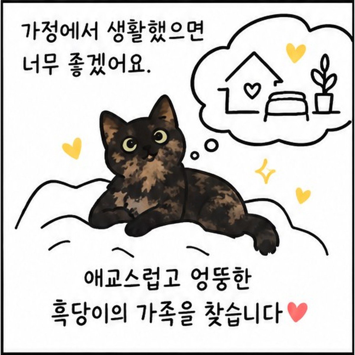dang_nyangee's tweet photo. 세 발냥 흑당이의 가족을 찾아요🐾

이름: 흑당
성별: 여아
나이: 2-3살 추정

흑당이는 무언가에 묶여 천천히 한쪽 다리를 잃었어요🥹
구조 후에도 무언가 몸이 닿으면 너무 놀라고... 아마 많이 무서웠나 봐요.

이제 시간도 제법 지났고
사람과 함께 살아야 하기에 순화를 진행 중이에요
추르도 잘 받아먹고 가끔 손길도 받아준답니다🪽

워낙 온순한 아이라 친구들과도 잘 어울리는 사교성 만점!
다리는 셋이지만 잘 놀고 잘 뛰고!
일상생활에는 전혀 문제가 없어요😏

게다가 아메숏 믹스라 에메랄드 눈에 검정과 은빛이 조화롭게 섞여 고급지면서도 유니크한 우리 흑당이!

애교스럽고 엉뚱한 면도 많아
집사님의 웃음을 보장합니다🥰

👉흑당이는 현재 쉼터에서 너무나도 잘 지내고 있지만 어쩔 수 없이 먹을 때나 자리를 차지할 때 다른 친구들한테 좀 밀리는 것 같아요🥹
흑당이는 가정 생활이 꼭 필요한 아이에요🙏🏻
(하츠, 스토리 공유, 응원의 댓글은 흑당이에게 큰 힘이 되어요❣️)

#고양이입양 #고양이입양홍보  #구조묘 #구조묘입양 평생가족을찾아요 #사지말고입양하세요