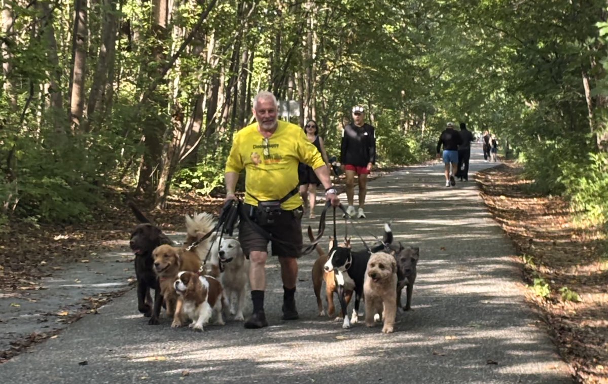 CommHappyDogs tweet picture