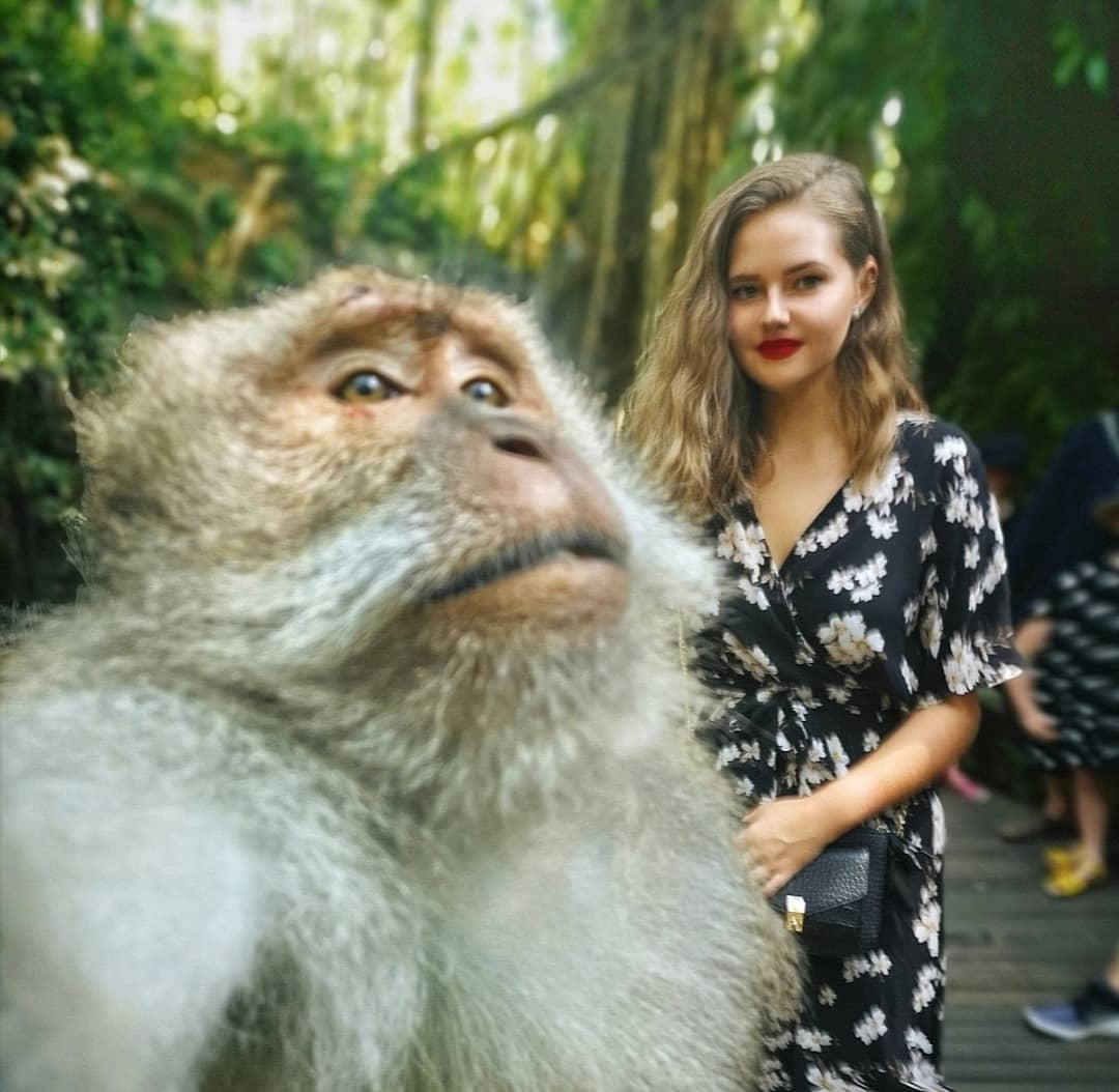 FanyKristen's tweet photo. Monkey selfie game stronger than mine 🤣🤳🙈 https://t.co/T5XlRFMPAn