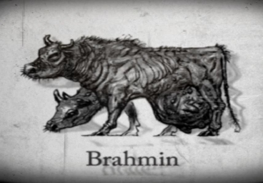 jayverse_exile's tweet photo. To all the LATRINAS in my DMs. Even your BRAHMIN CASTE looks like this to me https://t.co/o1Nhxv2yks