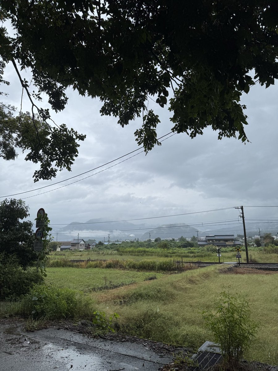 taitaijp's tweet photo. 雨のスタートとは、 https://t.co/SD7KM7Pveu