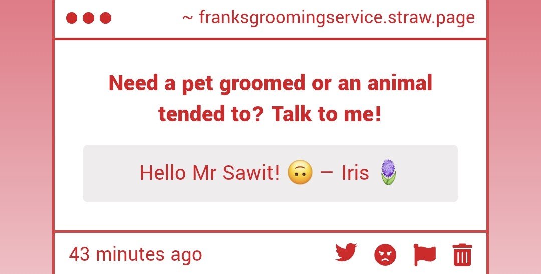 BowWowner's tweet photo. Hello Iris!😁 https://t.co/utSkOwCTiB