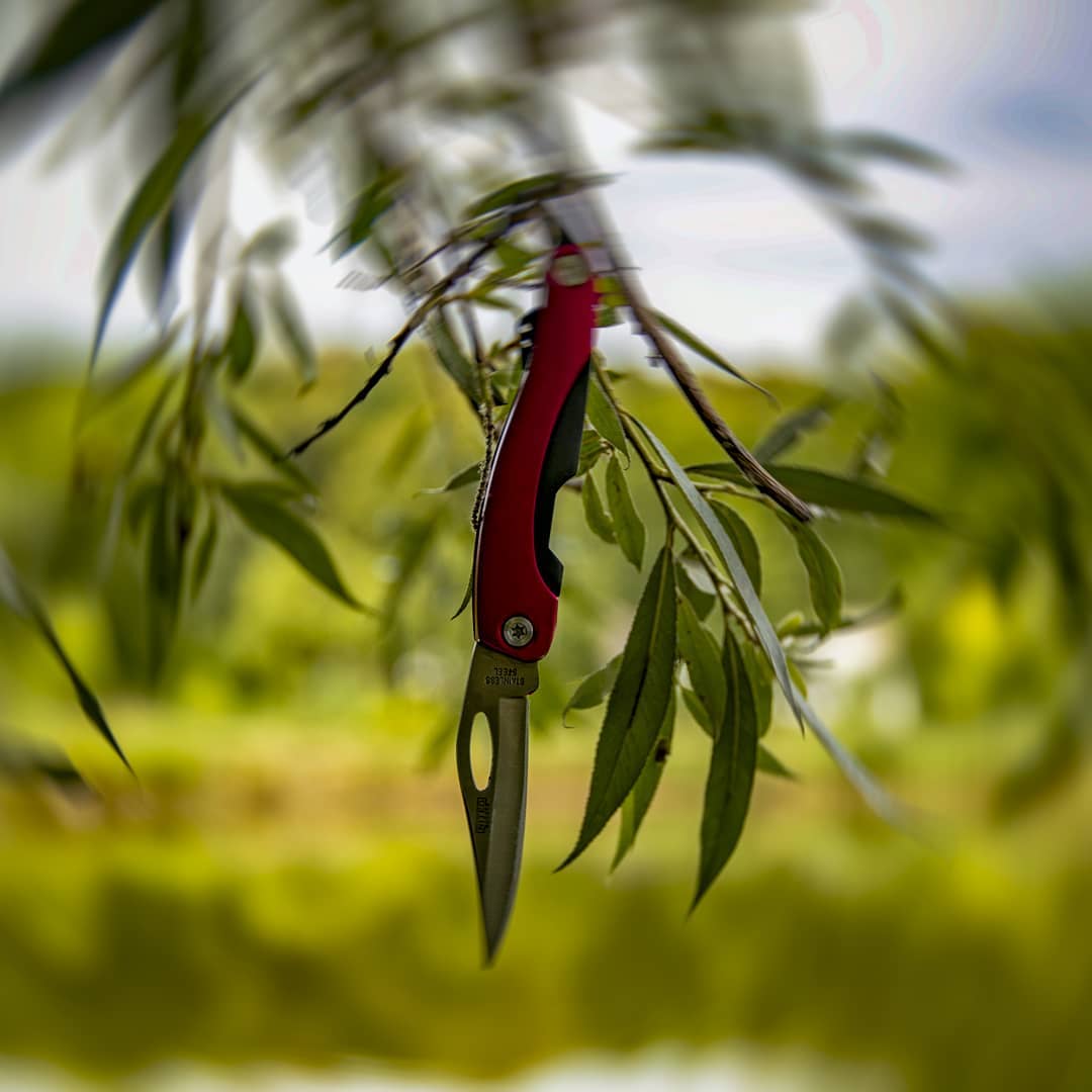 olivejon's tweet photo. #nóż #knife https://t.co/tbJKjD70gP