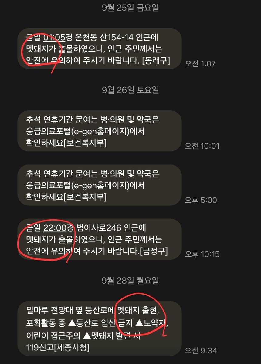 sunokok8's tweet photo. 추석 연휴 부산에서 연속 이틀 멧돼지 출몰 문자를 받았는데 세종오니 또. 계절, 시간에 상관이 없는듯? https://t.co/yDQEfvUEk9