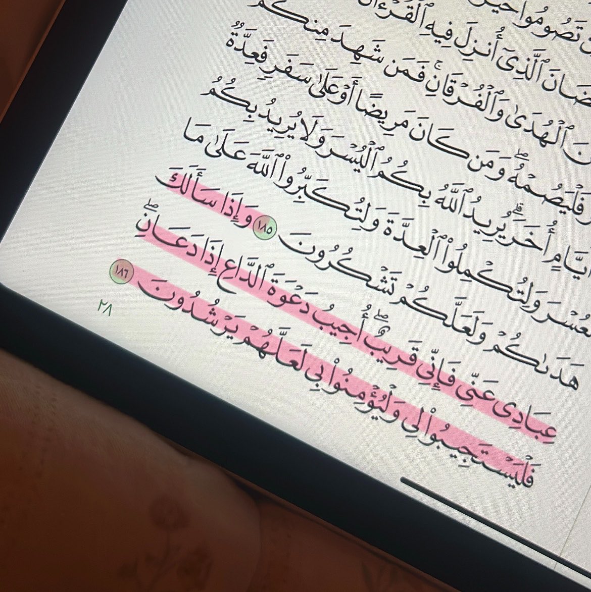 at0x2's tweet photo. أوتروا إن الله وترٌ يُحب الوتر❤️. https://t.co/yQYDzvjyFi