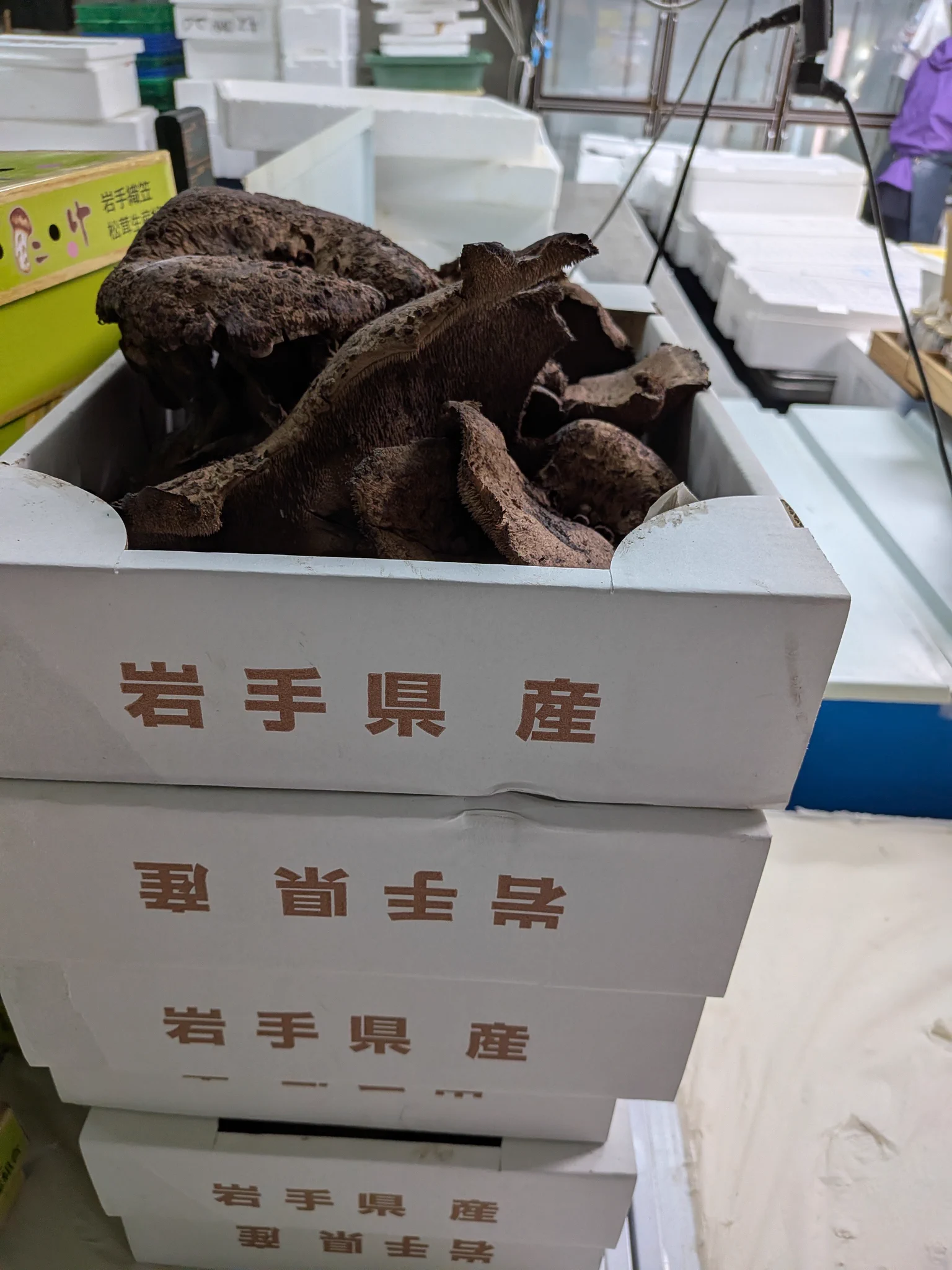 岩手県二戸産 　天然キノコ乾燥香茸 魚菜屋【天然鮮魚専門店】 on X: 