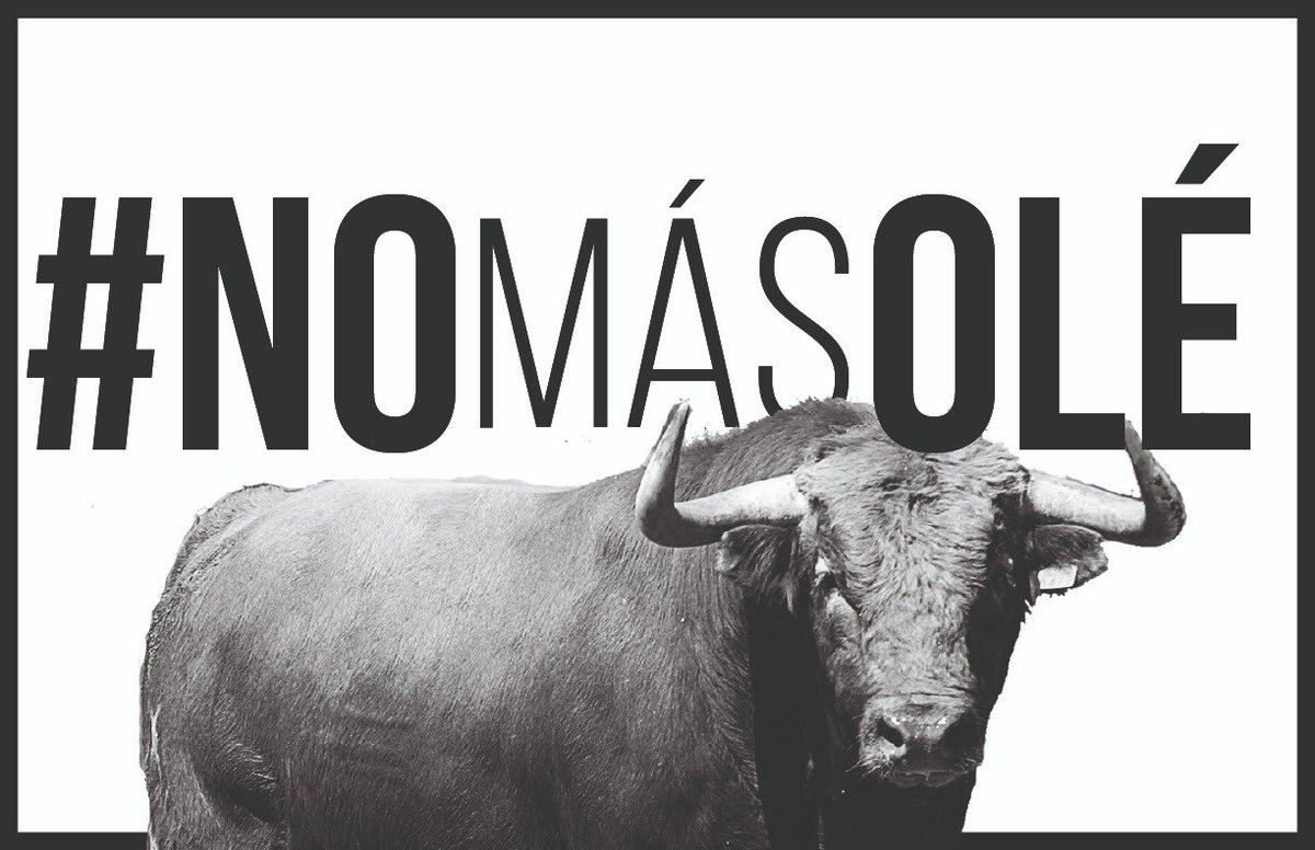 JuanKarloslos's tweet photo. 🚨¡ATENCIÓN!🚨

A pesar del inmenso lobbie taurino, la Corte Constitucional deja en firme nuestra ley de prohibición de las corridas de toros en Colombia. 

Un triunfo a todos los años de lucha para hacer a nuestro país un lugar más digno para los animales. https://t.co/4CGA2M9feo