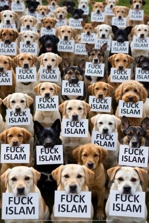 rorshac1571's tweet photo. @Grace_4America https://t.co/s9izNpZV8F