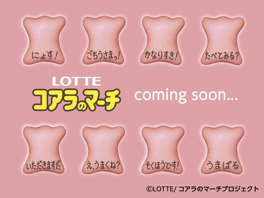 lotte_koalanomi's tweet photo. ついに・・・🐨！？ https://t.co/c0rxxARyub