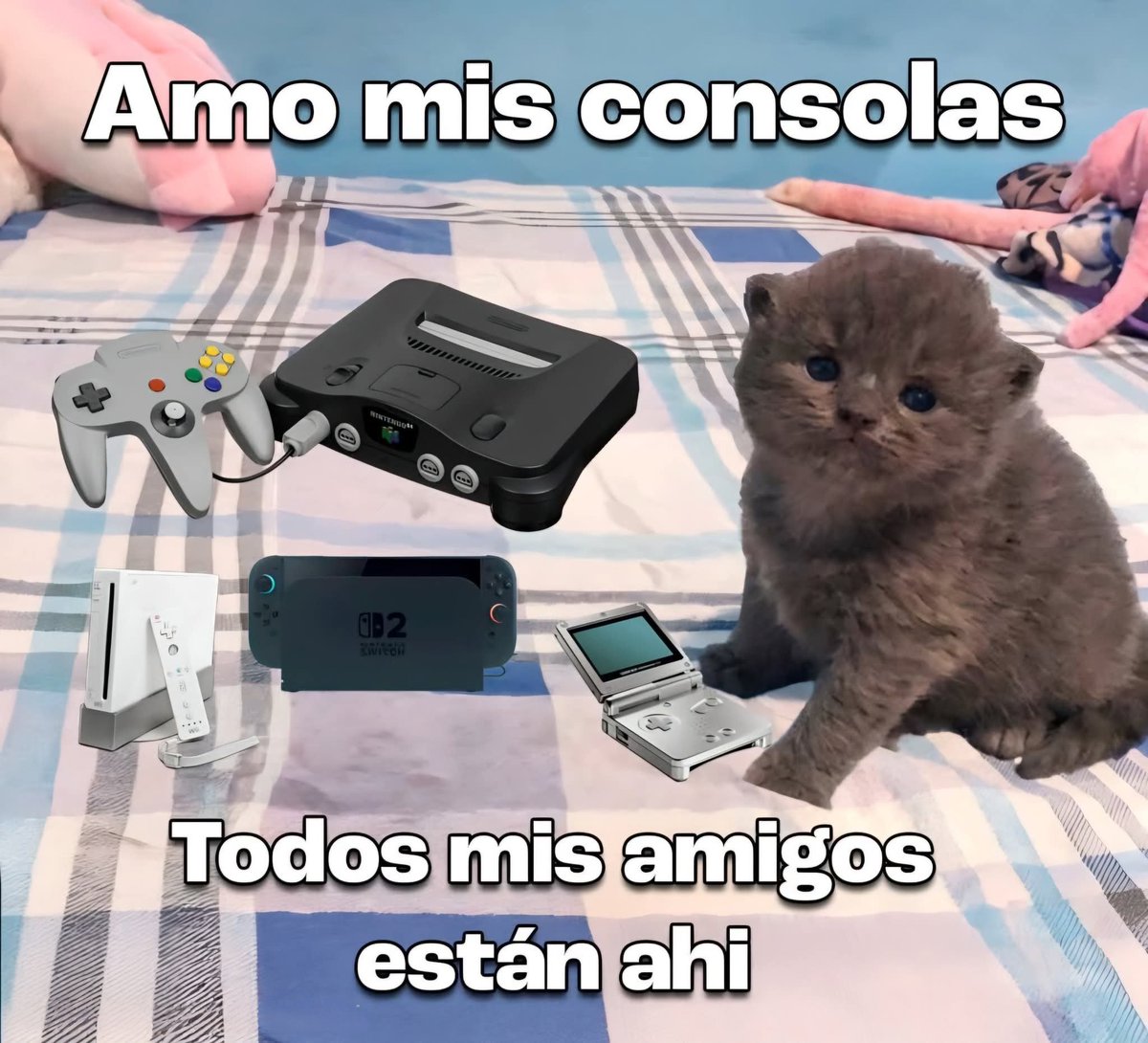 Mantequilla90's tweet photo. https://t.co/WauZZW6Vf7