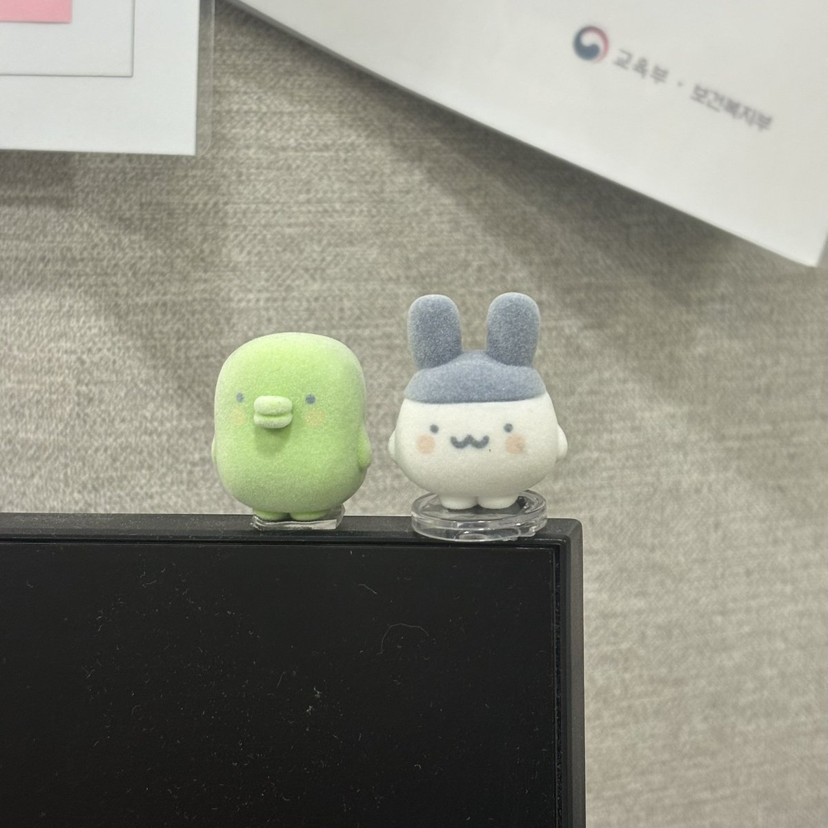 mazisyonen's tweet photo. 앙. https://t.co/jxfJF9ucu2