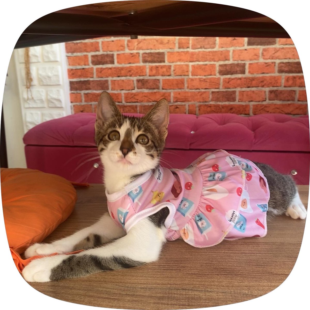 busrasengun06's tweet photo. 🎀 https://t.co/o77aSIUrZv