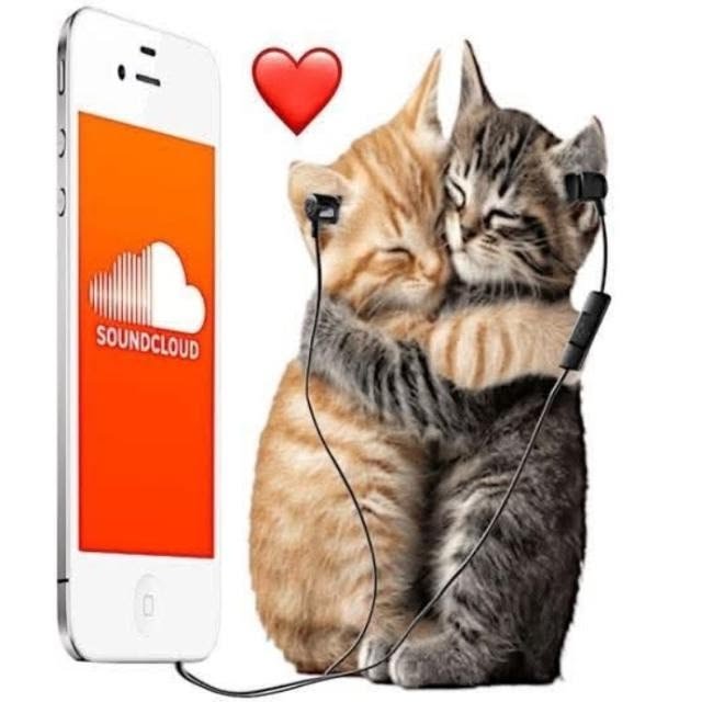 doombringer_450's tweet photo. BUSCO MUTIS
• Angel ⊹ ࣪ ˖
݁ ˖ 24 | 🇲🇽 | he/him
݁ ˖ me gusta el anime, horror, creepypastas, pelis y la música
⊹ ࣪ ˖ soy muy random, chistoso y buena onda
⊹ ࣪ ˖ busco mutis 18+ q quieran conversar y compartir gustos

⡞⠳⣄⣀⣠⠞⢷ ֹ۪ rt + like para ser mutis https://t.co/L0pmWhBITj