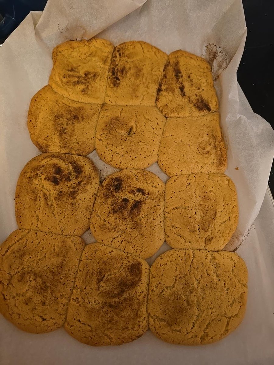 thebeerdedben's tweet photo. Did some baking today.   Made beer bread, a breakfast protein blueberry thing, snickerdoodle cookies, and smores cookies. https://t.co/Ldxq2LG22y