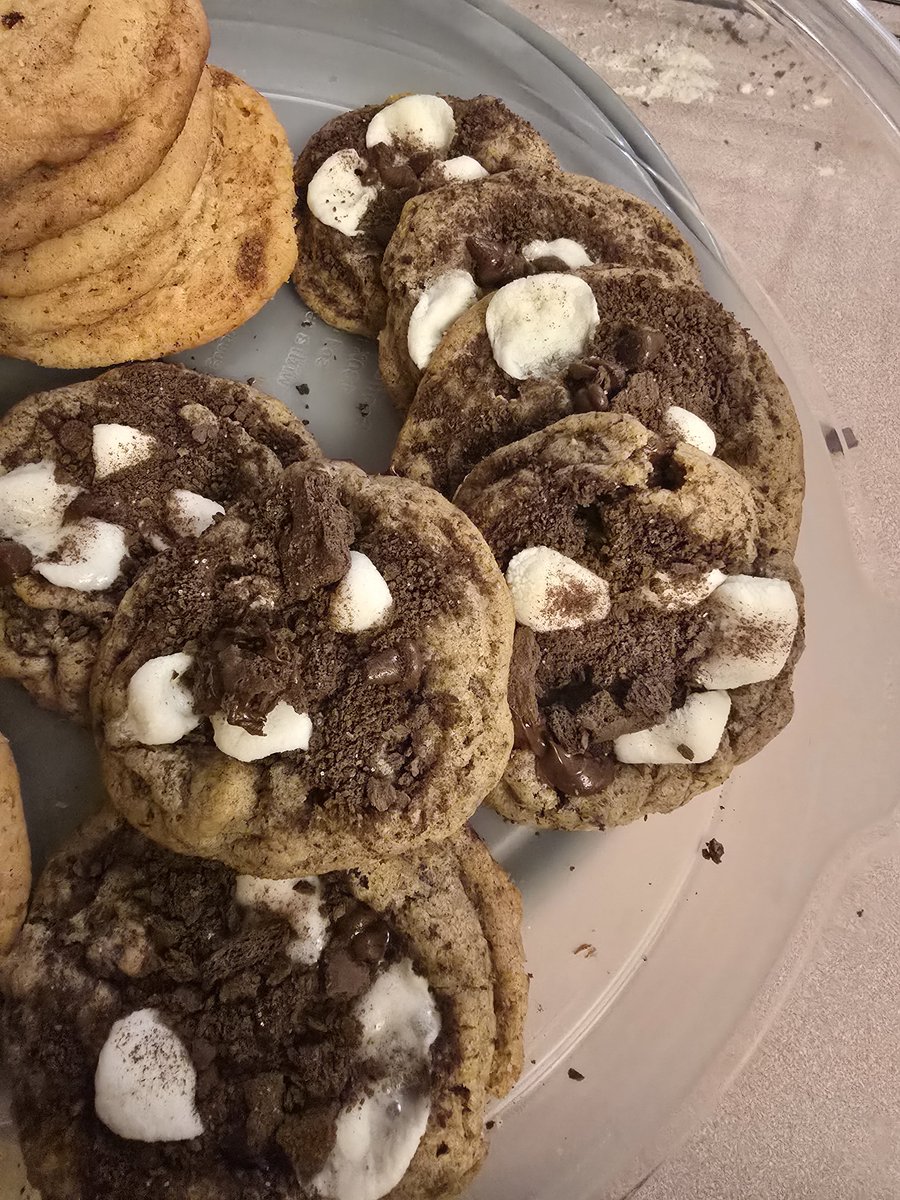 thebeerdedben's tweet photo. Did some baking today.   Made beer bread, a breakfast protein blueberry thing, snickerdoodle cookies, and smores cookies. https://t.co/Ldxq2LG22y