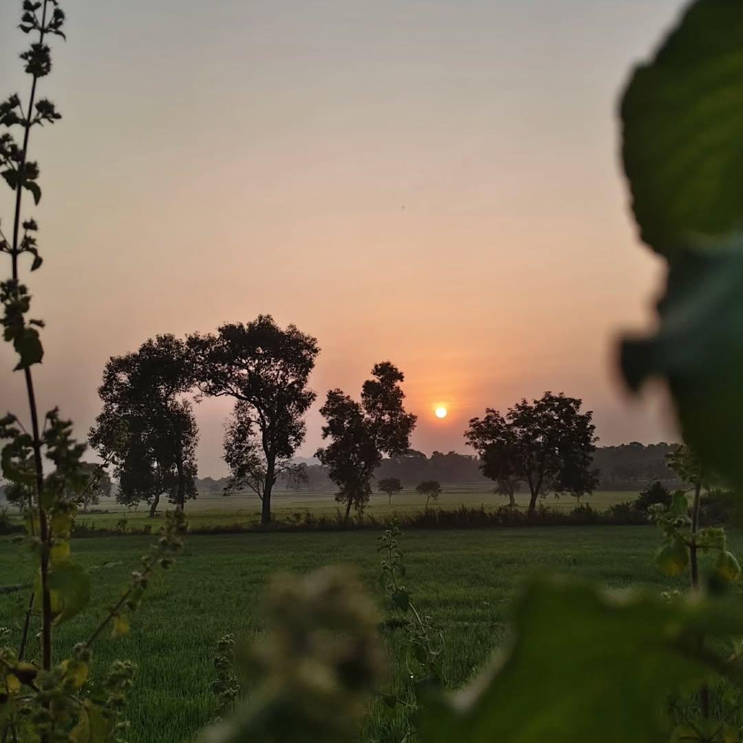 sneh42861's tweet photo. Morning feels different in the village 🌅 https://t.co/MxQuQ6iAXX