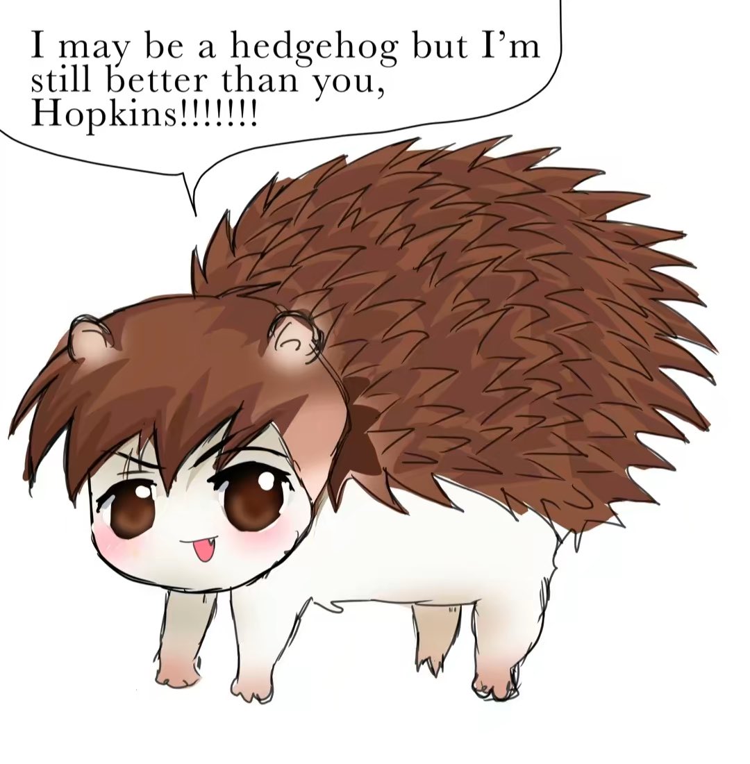 smugfry's tweet photo. Jimmy I’m a fucking hedgehog #Bullytwt https://t.co/ExlZvkSslc